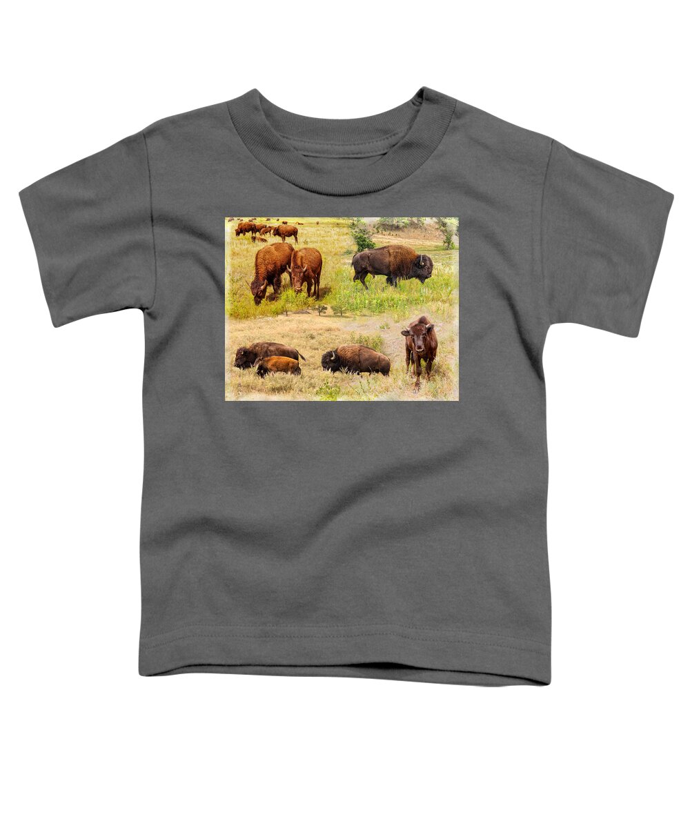 Landscape Toddler T-Shirt featuring the photograph American Bison Collage by John M Bailey