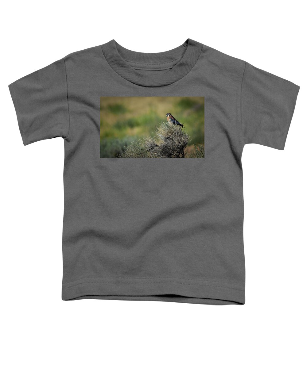 Kestrel Toddler T-Shirt featuring the photograph American Kestrel 2 by Rick Mosher