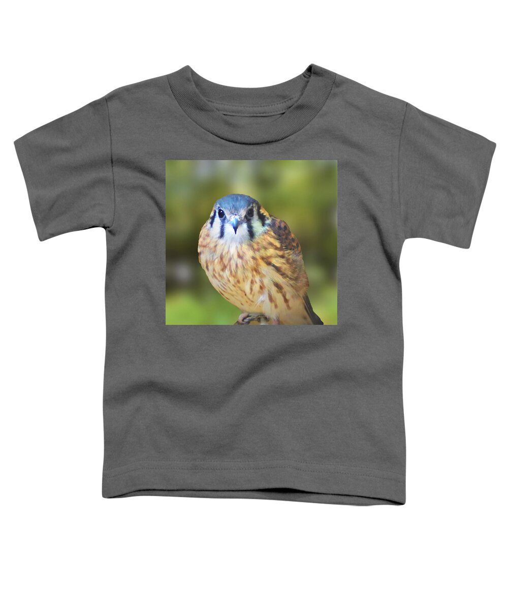 American Kestrel Toddler T-Shirt featuring the photograph American Kestrel by Kathy Kelly