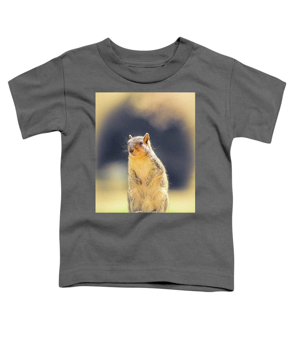 5dmkiv Toddler T-Shirt featuring the photograph American Red Squirrel by Mark Mille
