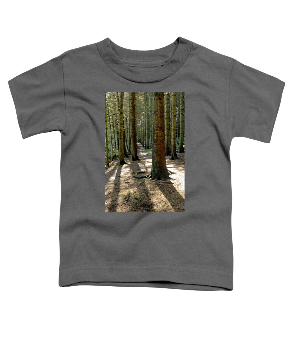 Beecraigs Toddler T-Shirt featuring the photograph Among forest trunks by Elena Perelman