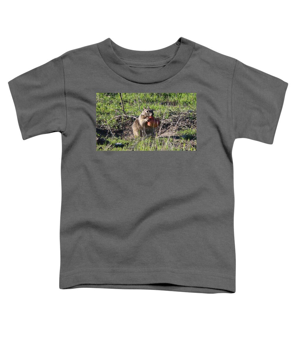 Squirrel Toddler T-Shirt featuring the photograph An Apple A Day - 2 by Christy Pooschke