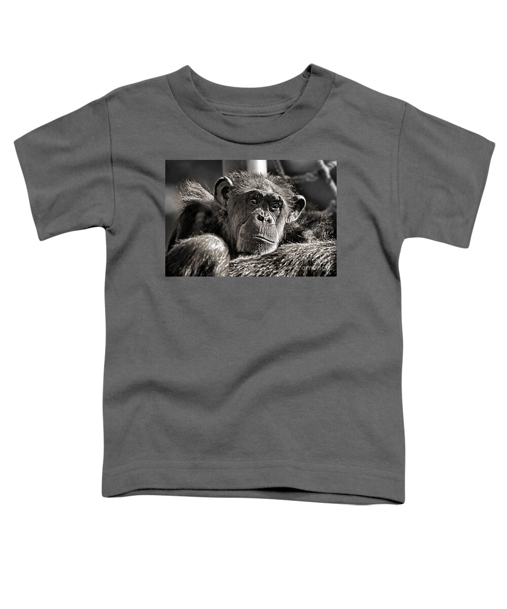 Elderly Chimp Toddler T-Shirt featuring the photograph An Elderly Chimp in Thought by Jim Fitzpatrick