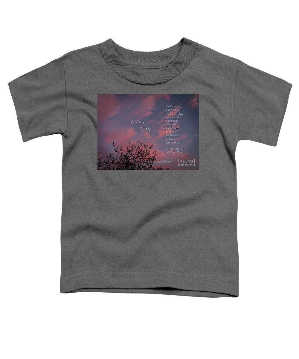 Sundown Toddler T-Shirt featuring the photograph Ancient Abbey by Ann Horn