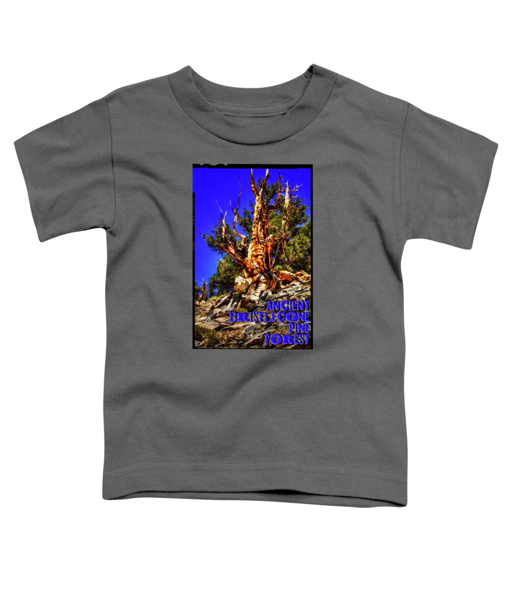 California Toddler T-Shirt featuring the photograph Ancient Bristlecone Pine Forest by Roger Passman
