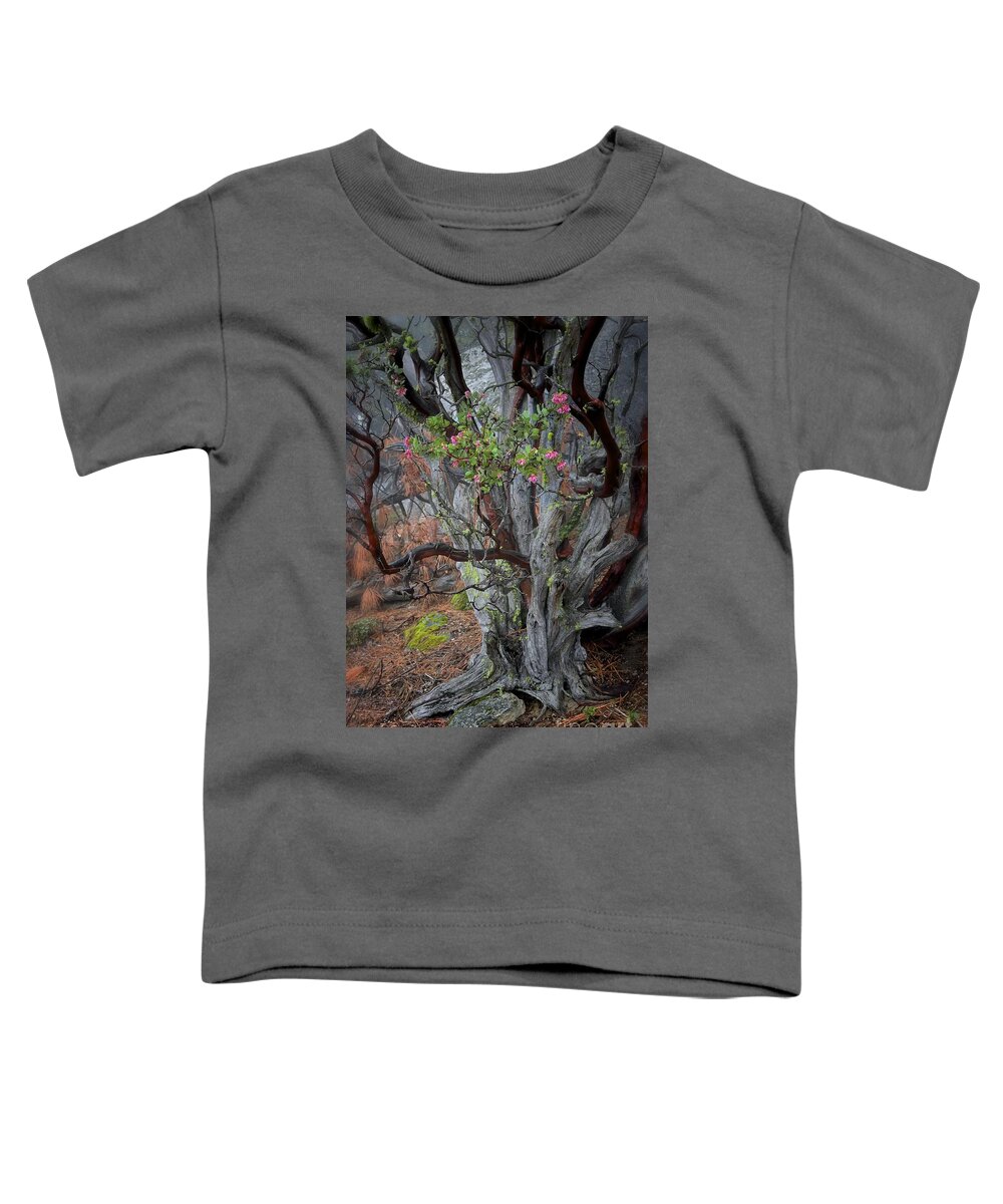Landscape Toddler T-Shirt featuring the photograph Ancient Manzanita with Moss and Blooms by Gus McCrea