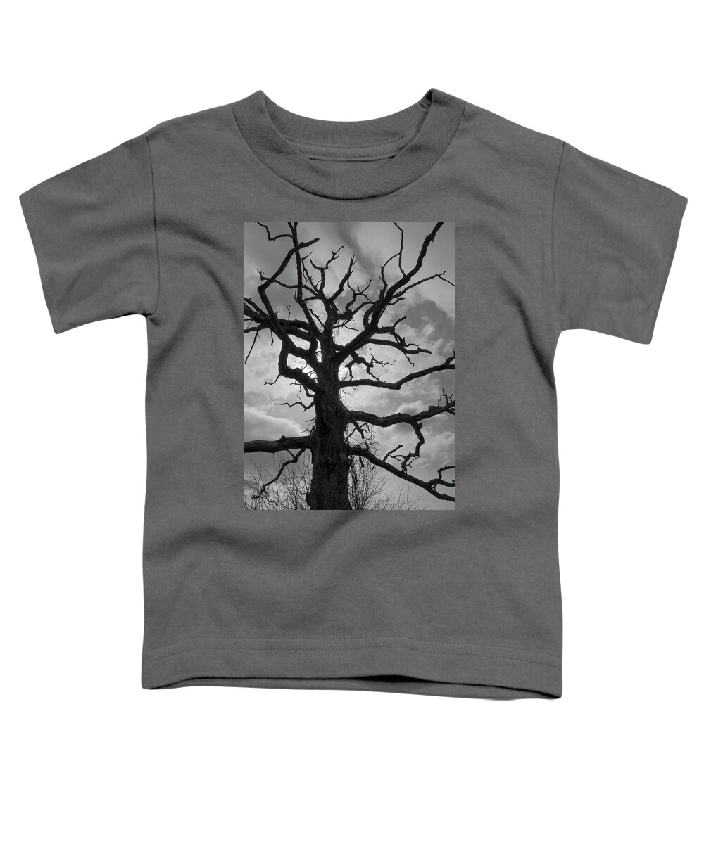 Ancient Toddler T-Shirt featuring the photograph Ancient Oak Tree No. 4 by David Gordon