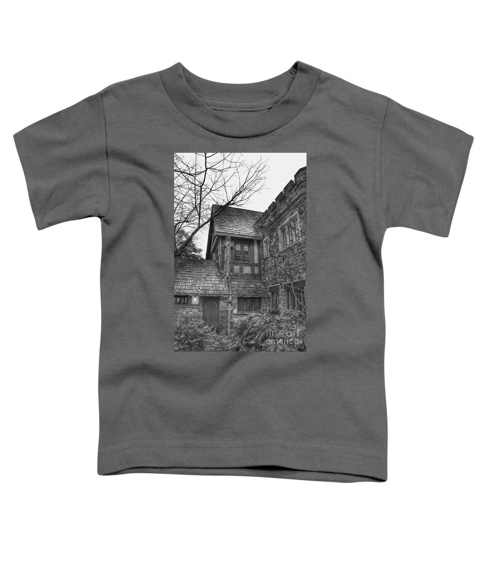 Annex Toddler T-Shirt featuring the photograph Annex at Ringwood Manor by Christopher Lotito