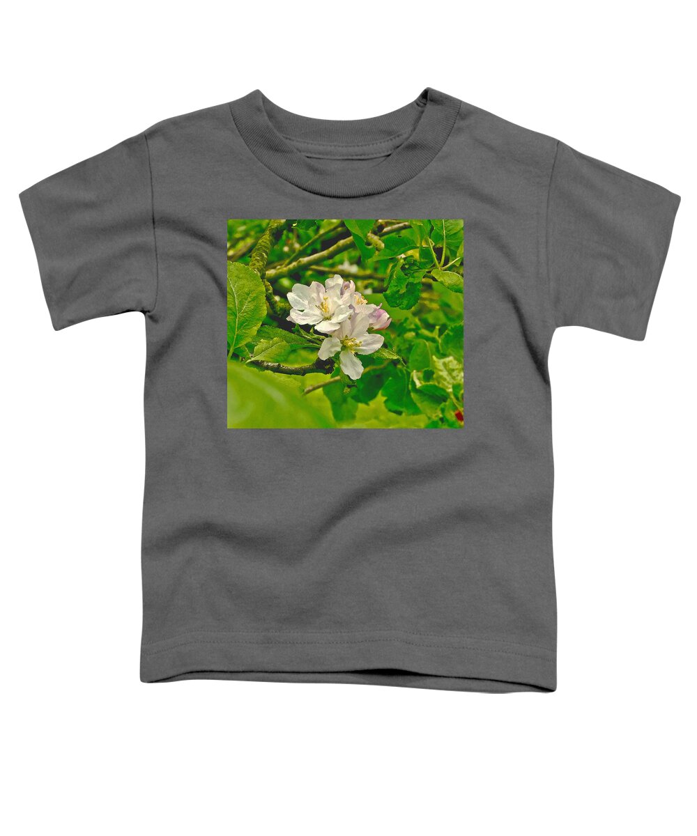 Apple Flowers Toddler T-Shirt featuring the photograph Apple Flowers. by Elena Perelman