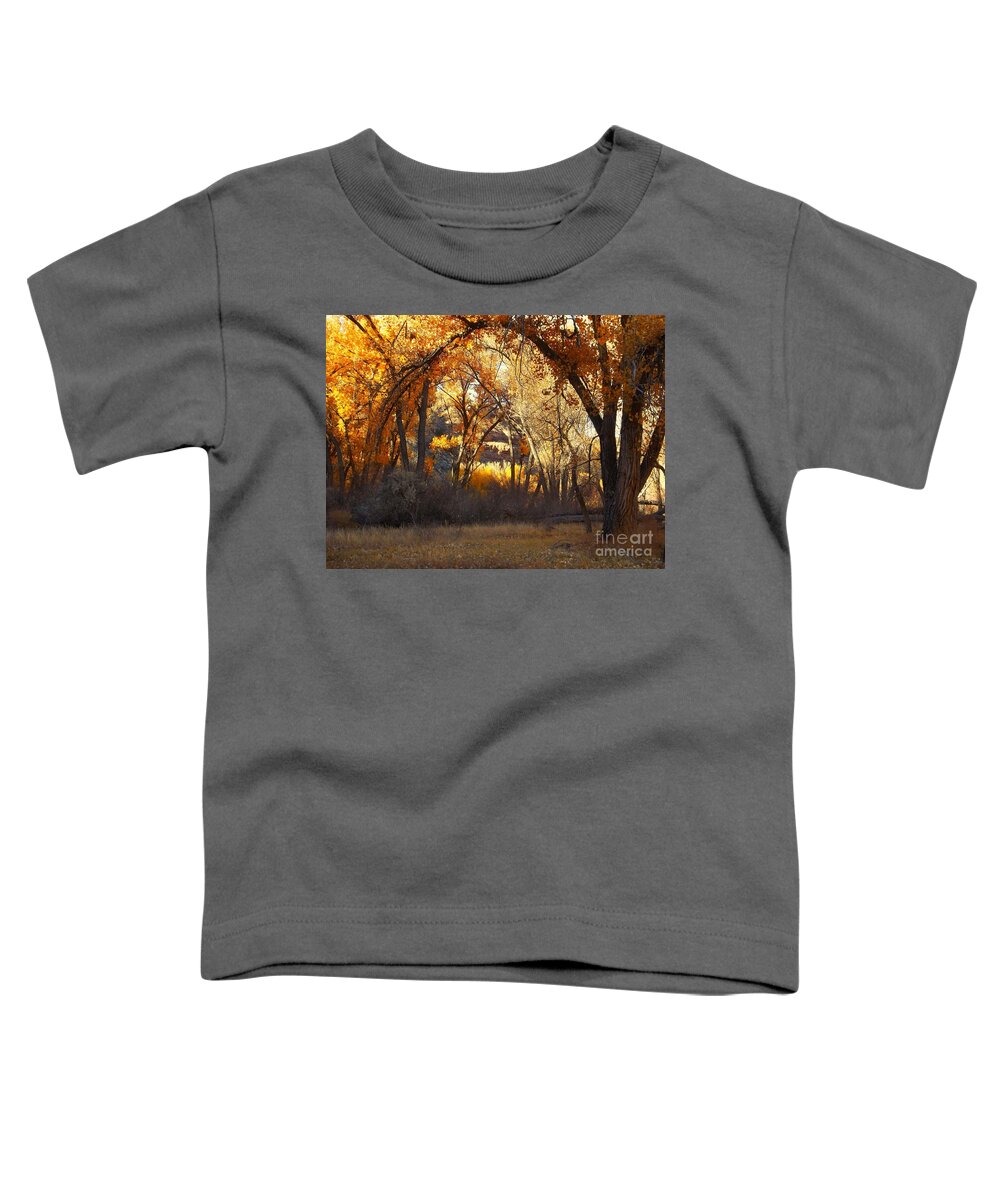 Fall Trees San Miguel Riparian Area Colorado Toddler T-Shirt featuring the digital art Arch of trees by Annie Gibbons