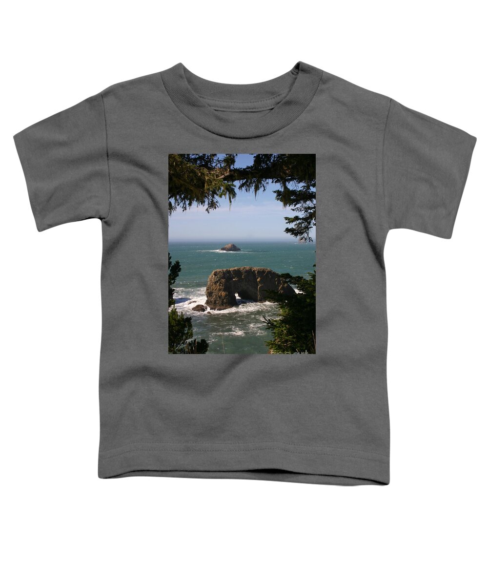 Arch Rock Toddler T-Shirt featuring the photograph Arch Rock view by Marie Neder