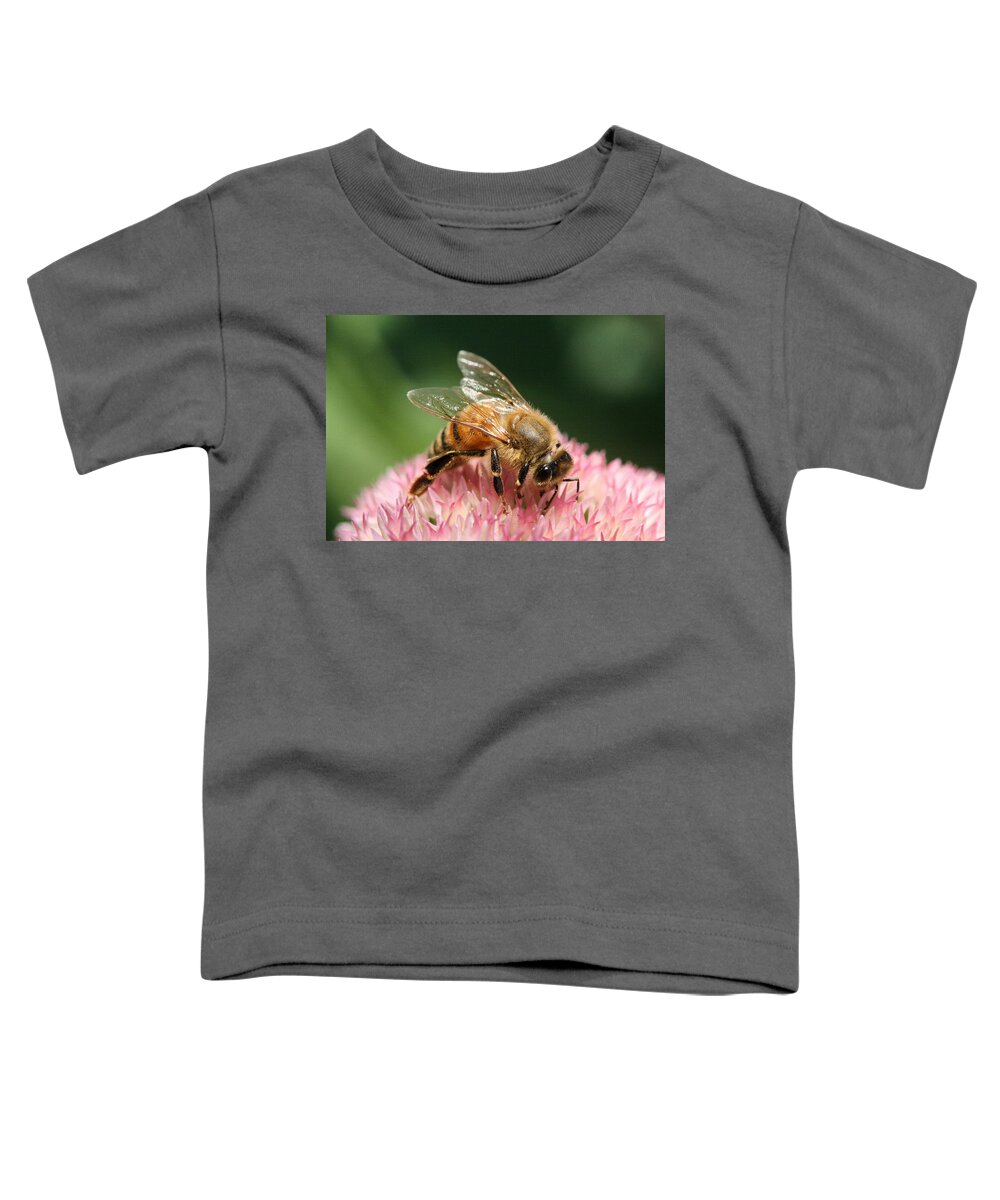Bee Toddler T-Shirt featuring the photograph Arched by Angela Rath