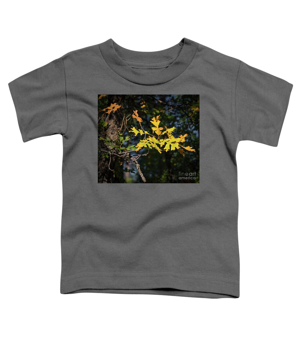 Arizona Toddler T-Shirt featuring the photograph Arizona Oak by Jeff Hubbard