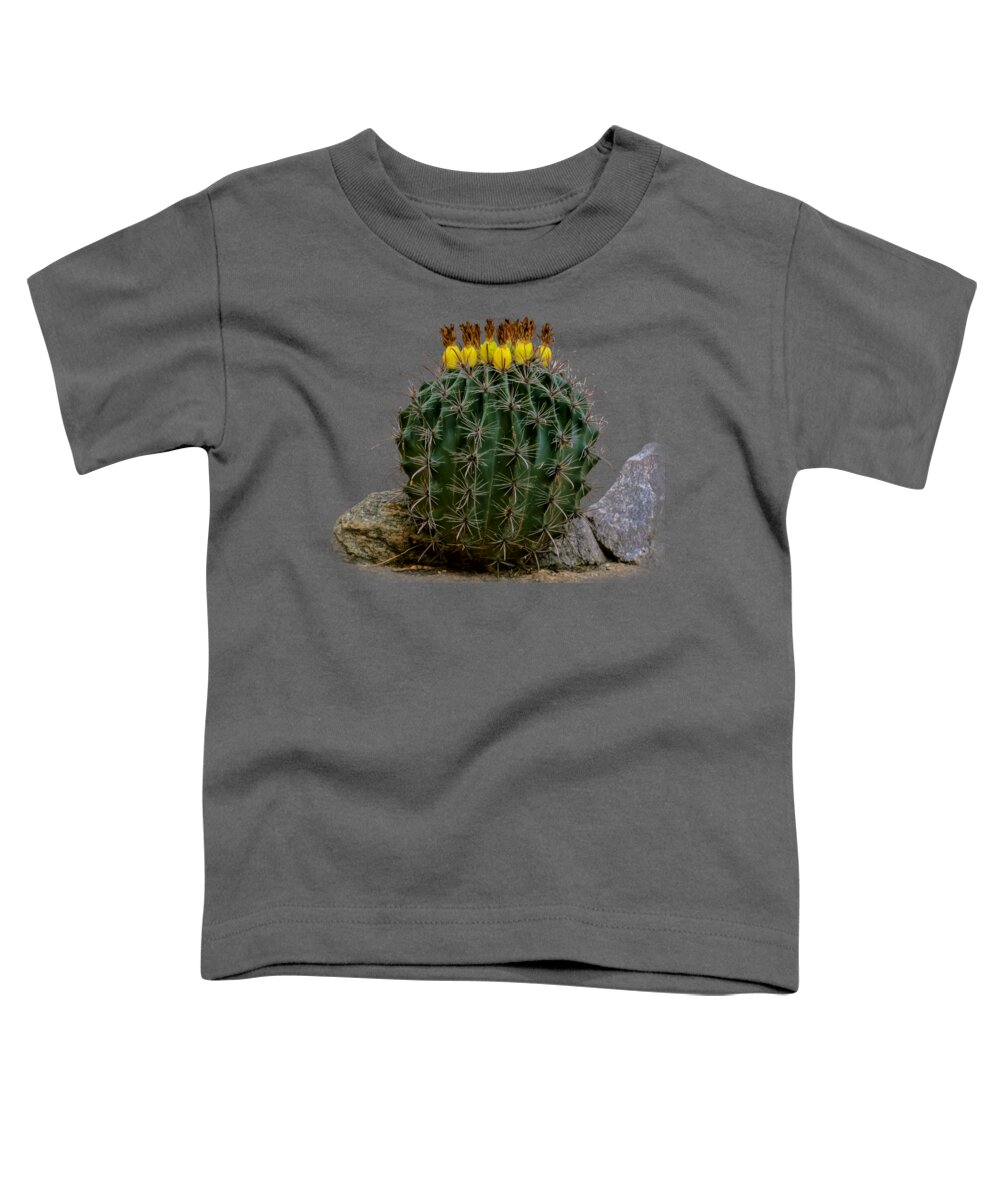 Oro Valley Toddler T-Shirt featuring the photograph Barrel Against Wall No50 by Mark Myhaver