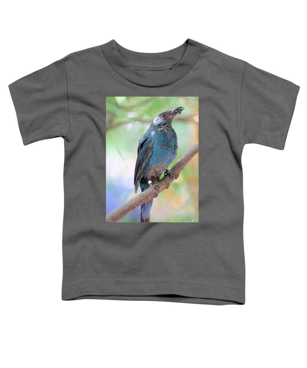 Bird Toddler T-Shirt featuring the photograph Asian Fairy Bluebird by Baggieoldboy