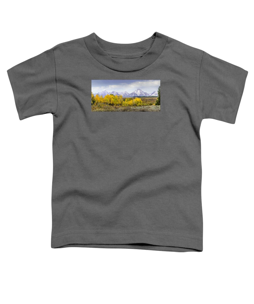 Aspen Toddler T-Shirt featuring the photograph Aspen Gold in the Tetons by Greni Graph