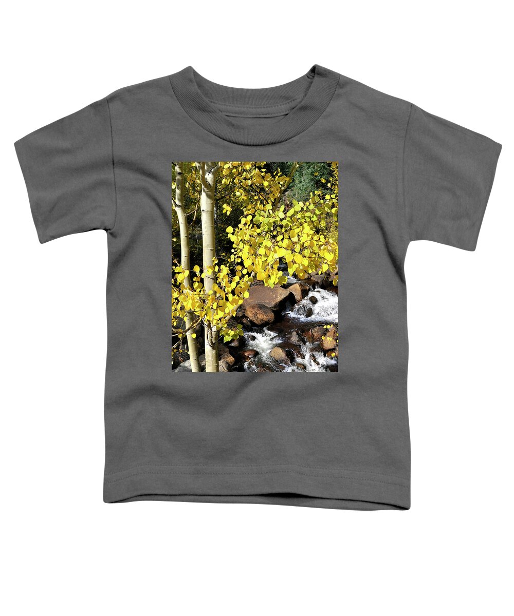 Nature Toddler T-Shirt featuring the photograph Aspen Leaves by Nava Thompson