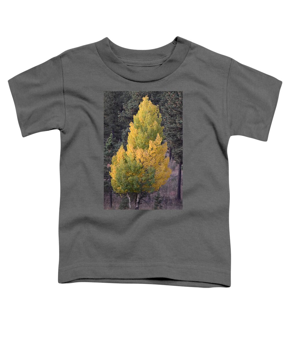 Aspen Toddler T-Shirt featuring the photograph Aspen Tree Fall Colors CO by Margarethe Binkley