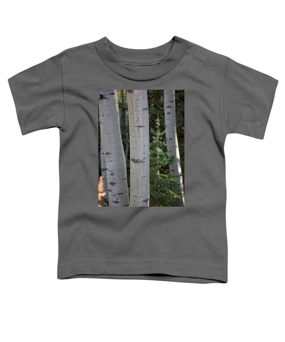 Aspen Toddler T-Shirt featuring the photograph Aspen with Pine by Nancy Dunivin