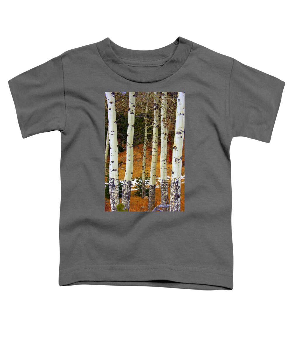 Aspens Toddler T-Shirt featuring the photograph Aspens of white by Julie Lueders 
