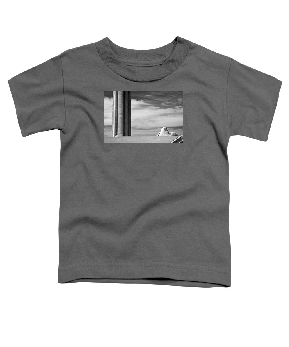 Sphynx Toddler T-Shirt featuring the photograph Assyrian Sphynx by George Taylor