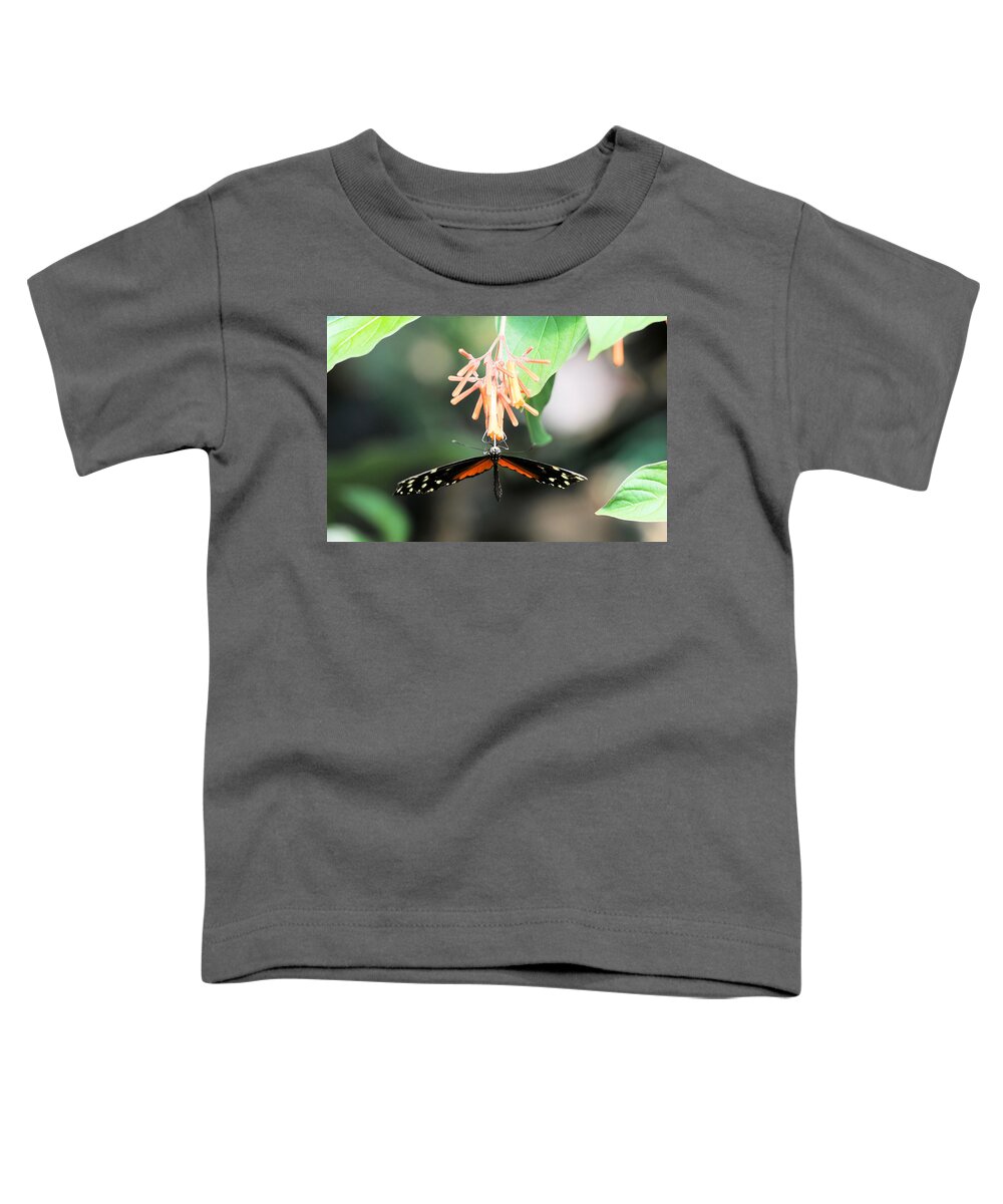 Butterfly Toddler T-Shirt featuring the photograph At rest 1 by Lawrence Christopher