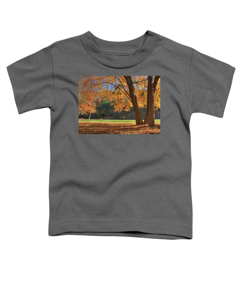 Autumn Toddler T-Shirt featuring the photograph Autumn at Lykens Glen by Lori Deiter