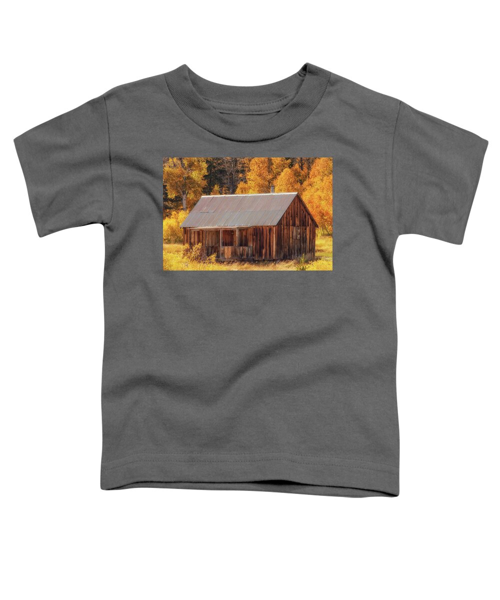 Landscape Toddler T-Shirt featuring the photograph Autumn at the Old Cabin by Marc Crumpler