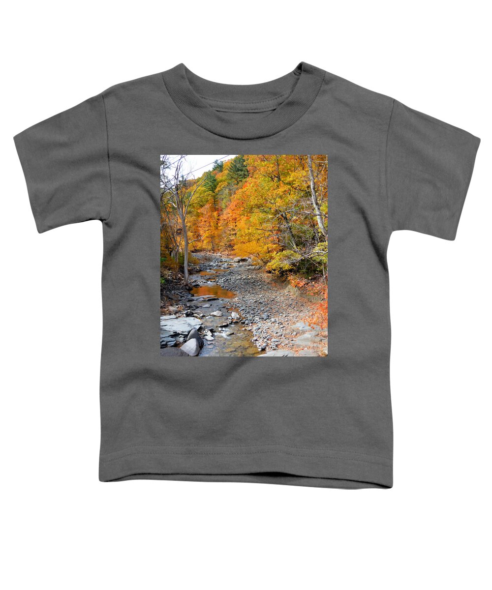 Autumn Creek Toddler T-Shirt featuring the painting Autumn creek 6 by Jeelan Clark