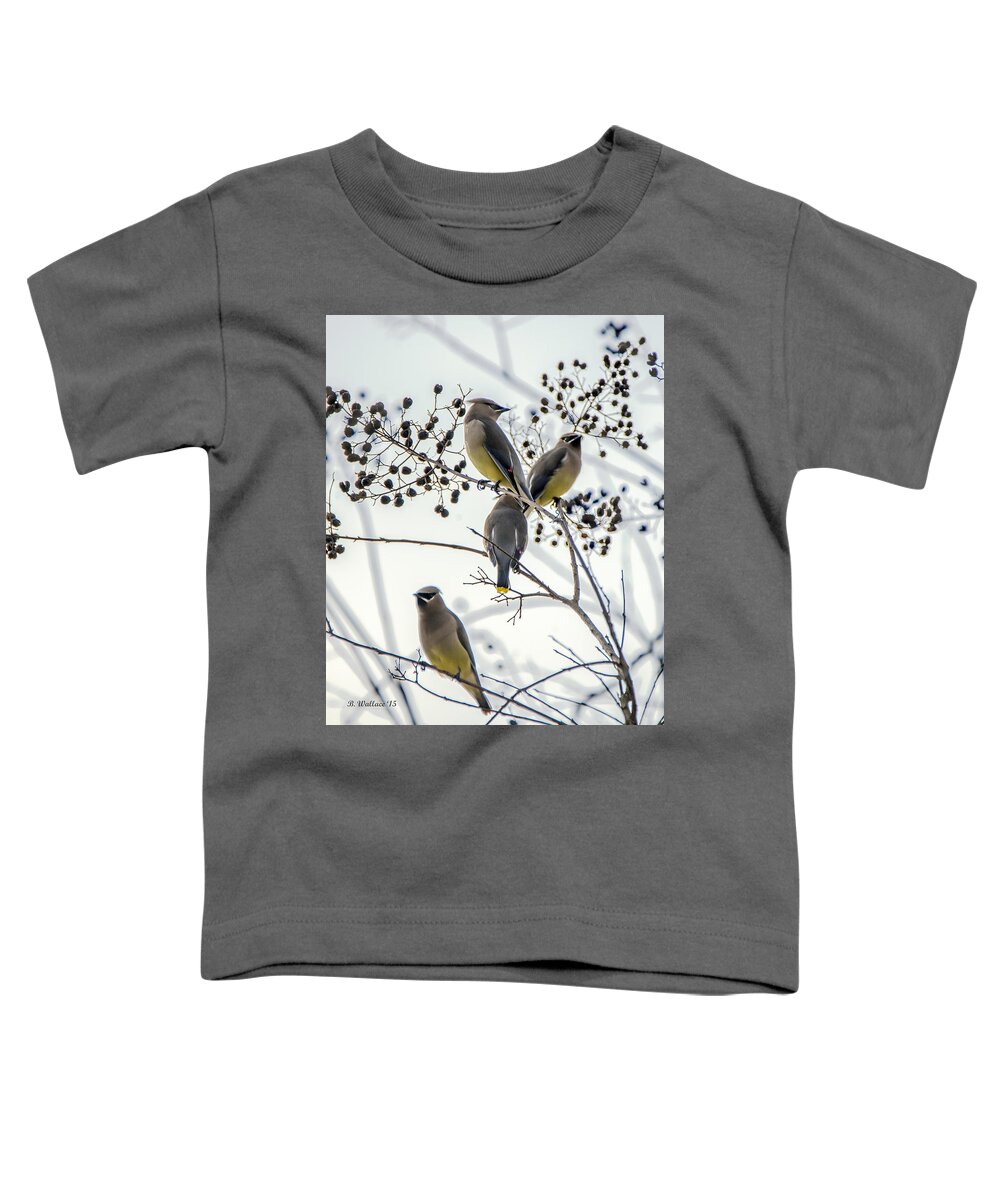 2d Toddler T-Shirt featuring the photograph Autumn Friends by Brian Wallace