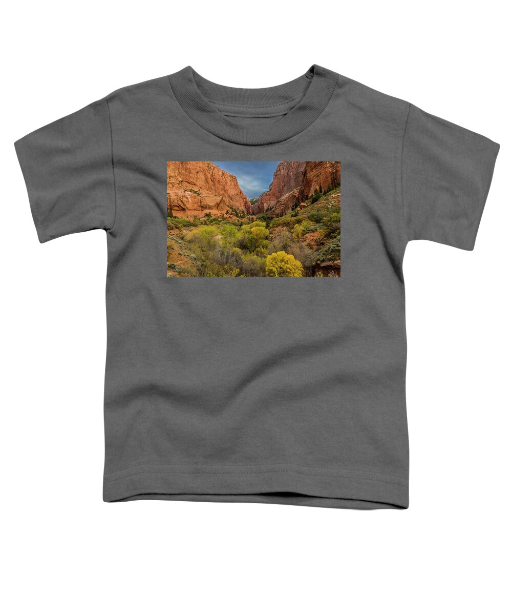 Kolob Canyons Toddler T-Shirt featuring the photograph Autumn in Kolob Canyons by Donald Pash