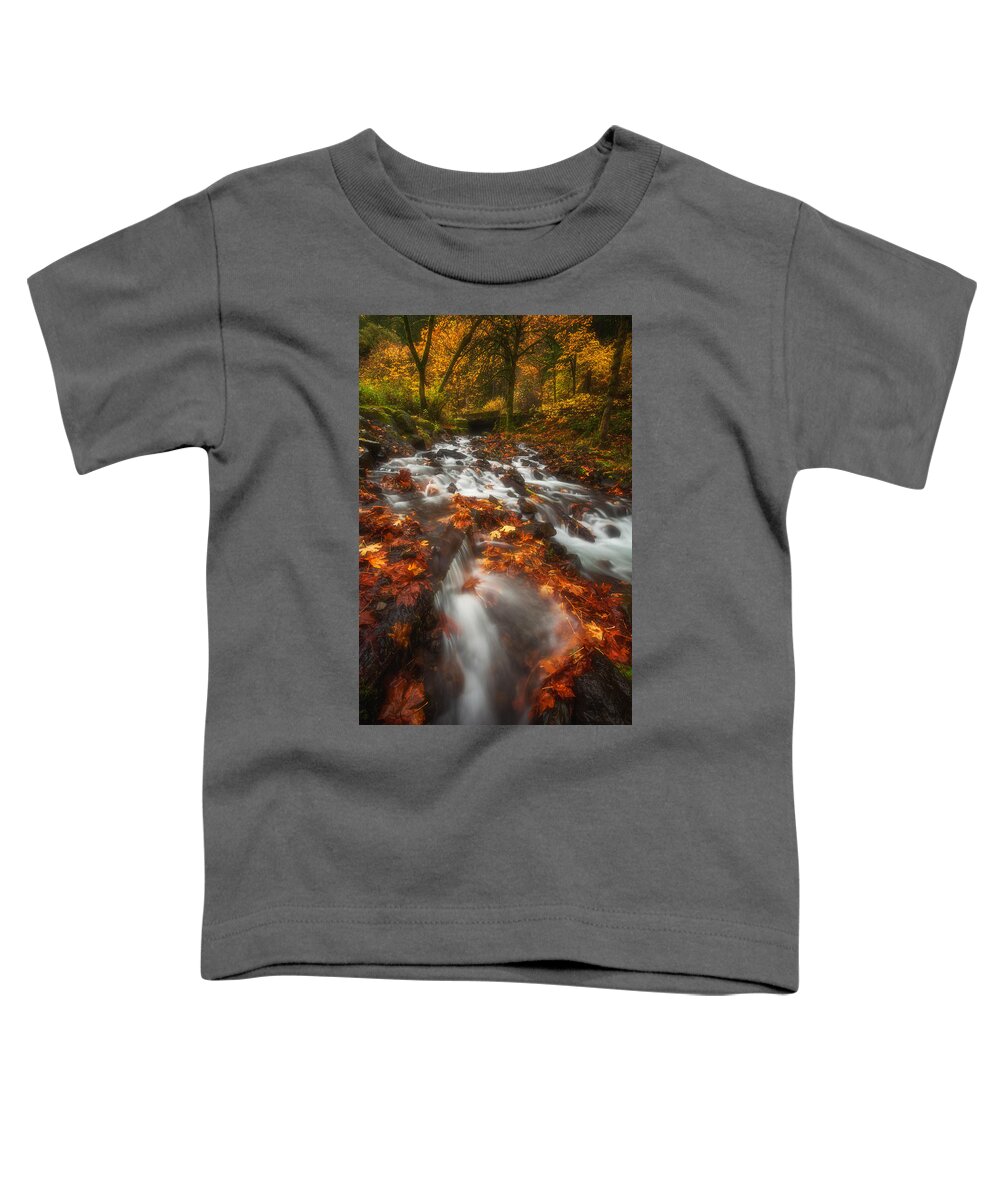Fall Toddler T-Shirt featuring the photograph Autumn in the Gorge by Darren White