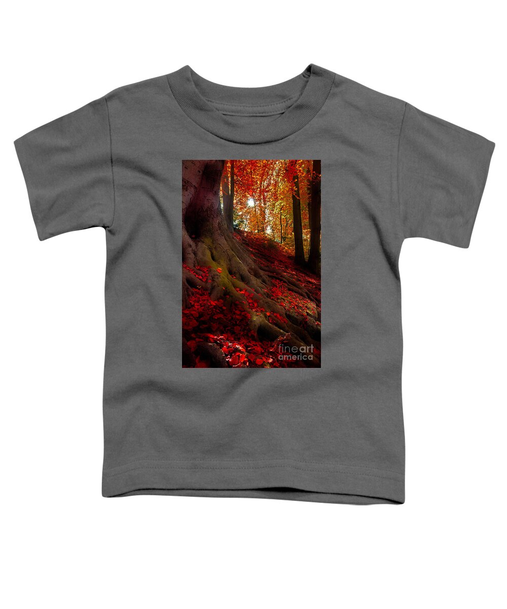 Autumn Toddler T-Shirt featuring the photograph Autumn Light by Hannes Cmarits