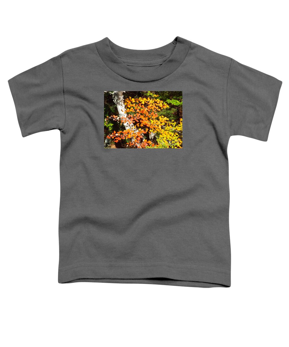 Autumn Toddler T-Shirt featuring the photograph Autumn Maple by Barbara Von Pagel