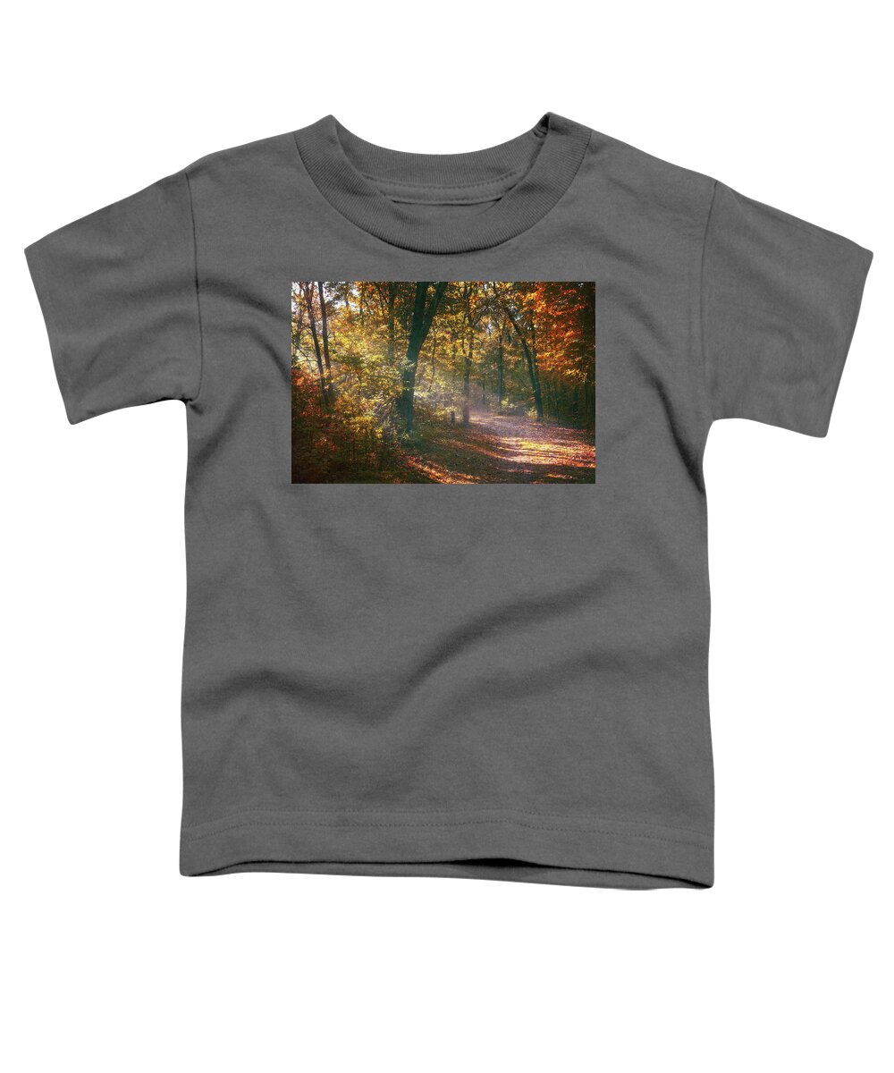 Autumn Toddler T-Shirt featuring the photograph Autumn Path by Scott Norris