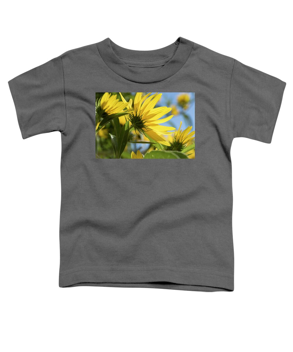 Blue Toddler T-Shirt featuring the photograph Autumn Sunshine by Holly Ross