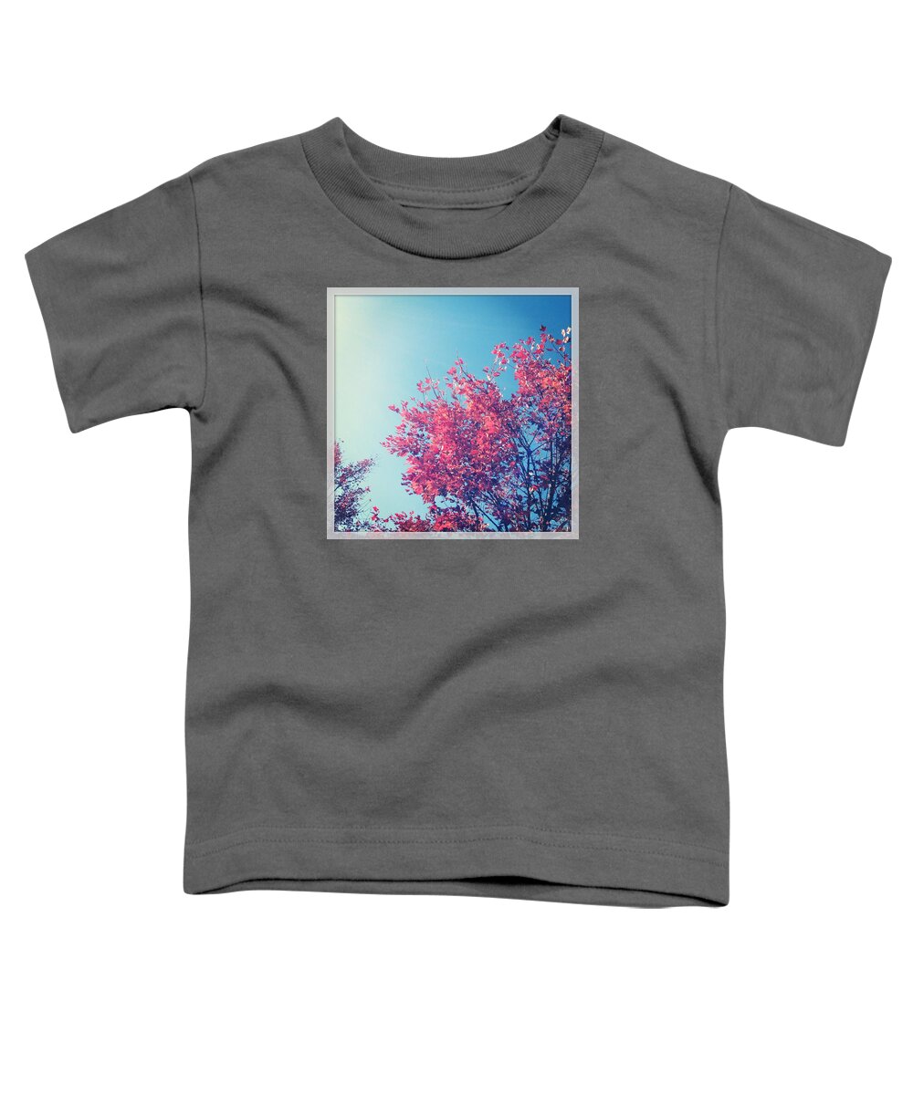  Toddler T-Shirt featuring the photograph Autumn Trees and Sky by Will Felix