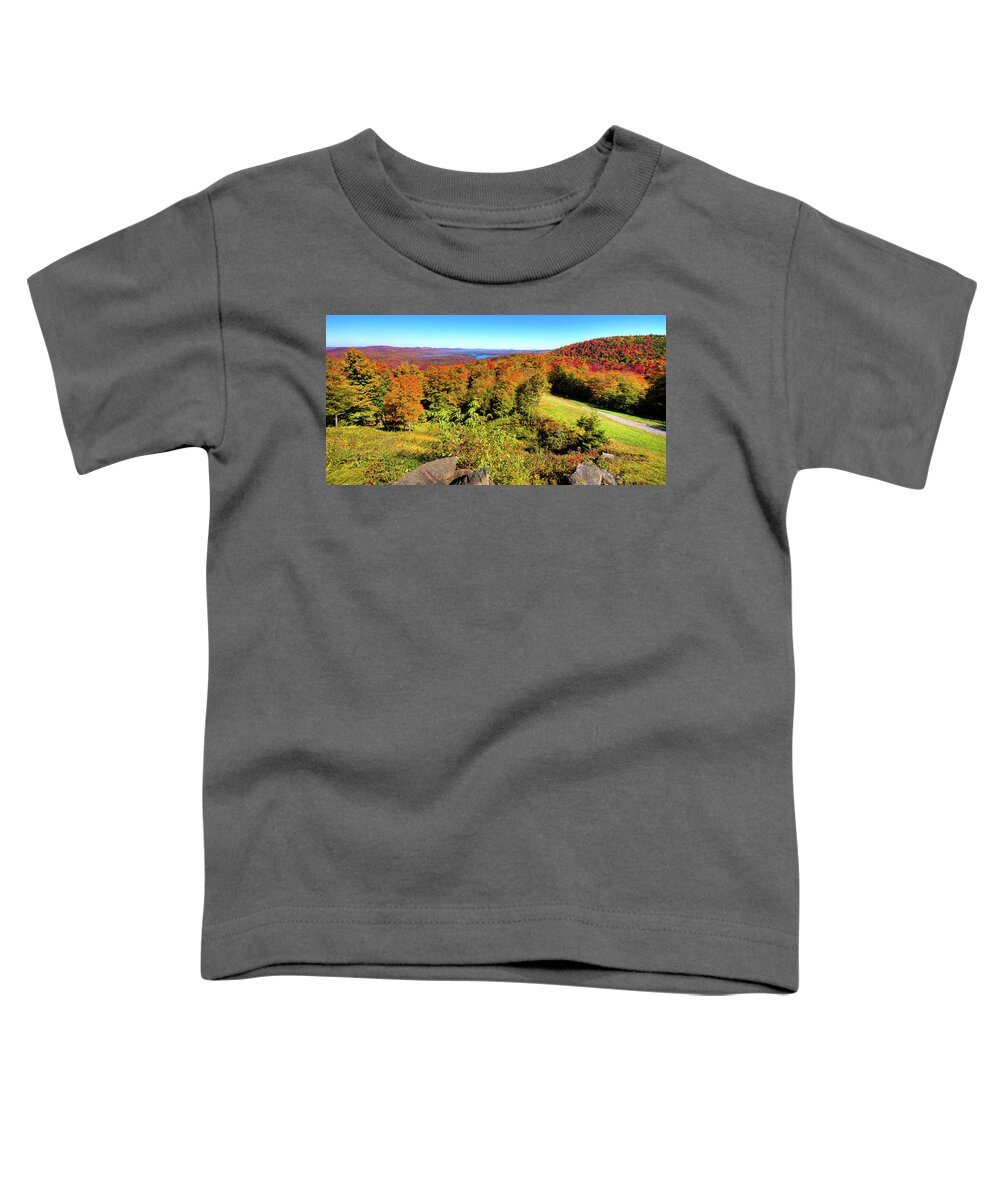 Autumn Landscapes Toddler T-Shirt featuring the photograph Autumn View from McCauley Mountain by David Patterson