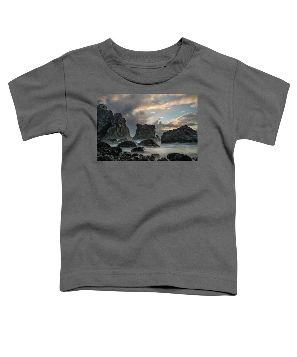 Patrick's Point Toddler T-Shirt featuring the photograph Autumnal Patrick's Point by Greg Nyquist