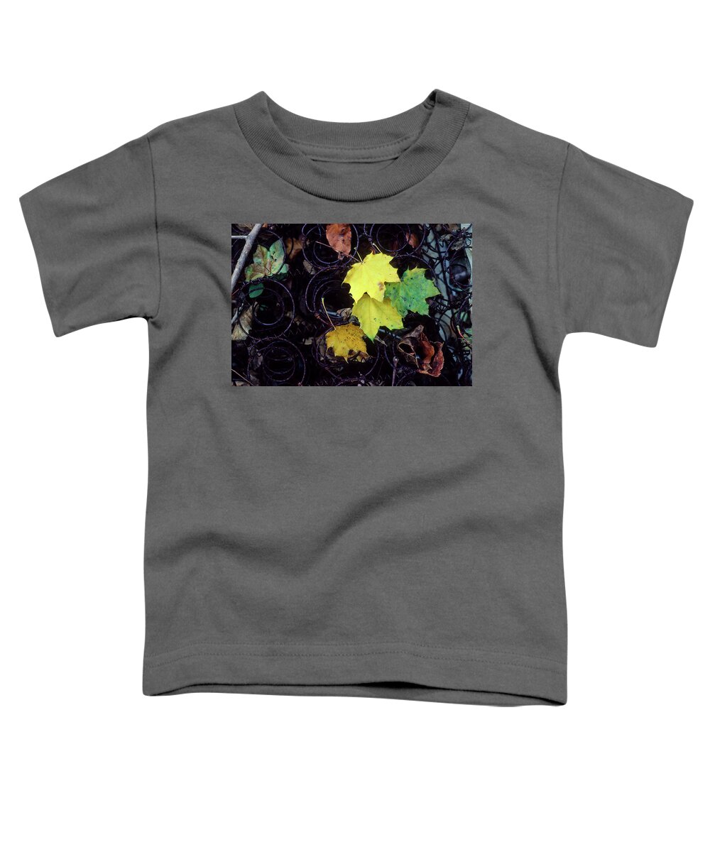 Rural Toddler T-Shirt featuring the photograph Autumn's Spring Leaves, Horizontal by James Oppenheim