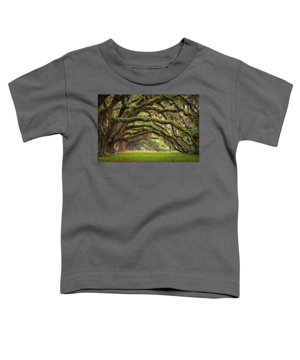 #faatoppicks Toddler T-Shirt featuring the photograph Avenue of Oaks - Charleston SC Plantation Live Oak Trees Forest Landscape by Dave Allen