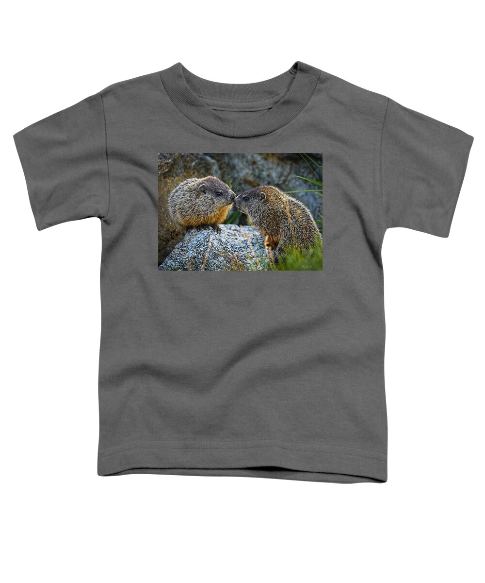 Baby Animals Toddler T-Shirt featuring the photograph Baby Groundhogs Kissing by Bob Orsillo