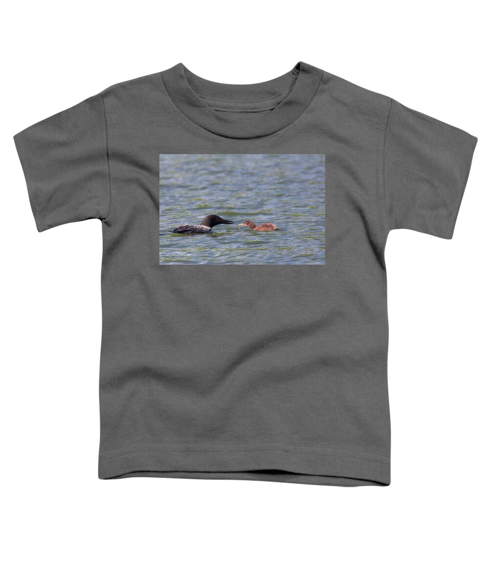 Baby Loon Toddler T-Shirt featuring the photograph Feeding Time by Nancy Dunivin