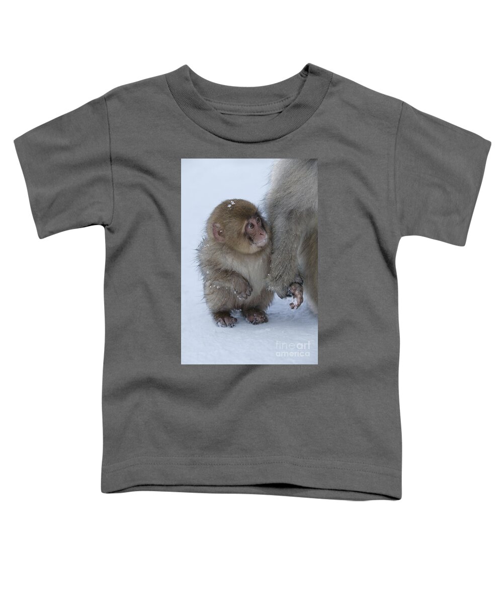 Japanese Macaque Toddler T-Shirt featuring the photograph Baby Snow Monkey by Jean-Louis Klein & Marie-Luce Hubert