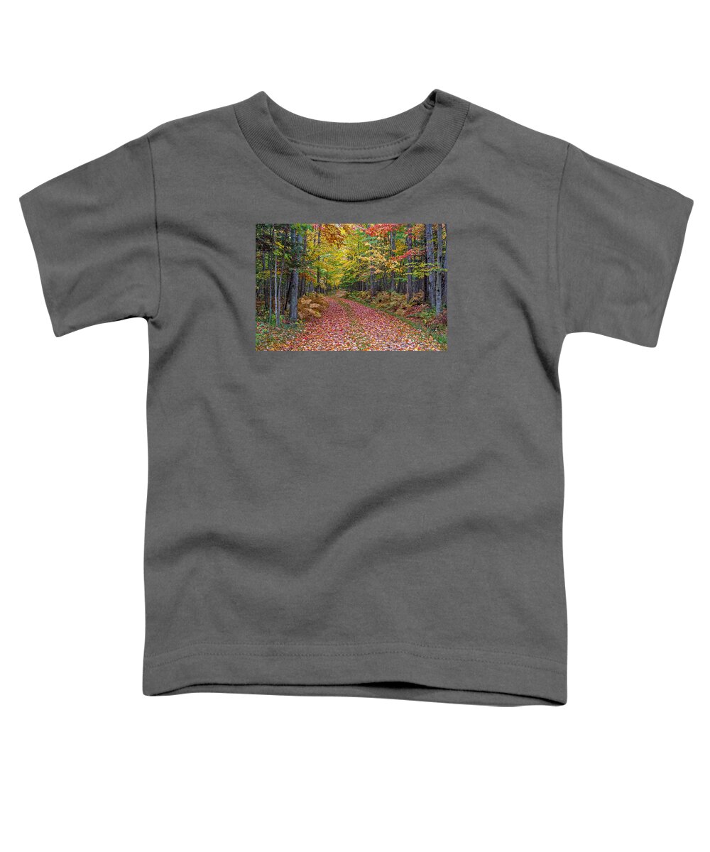 Fall Toddler T-Shirt featuring the photograph Back Road Color Tour by Gary McCormick