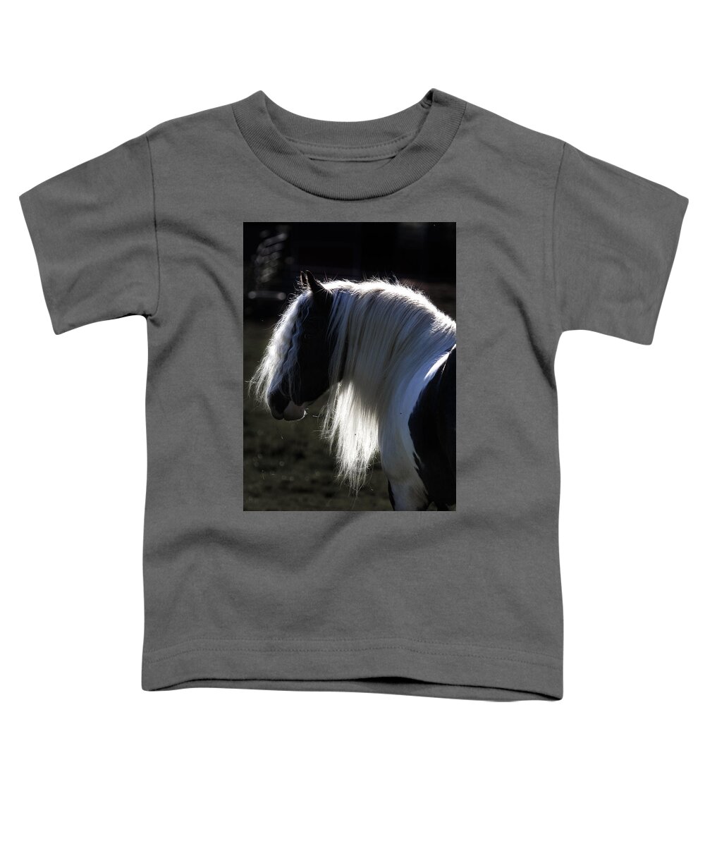 Backlit Gypsy Toddler T-Shirt featuring the photograph Backlit Gypsy by Wes and Dotty Weber