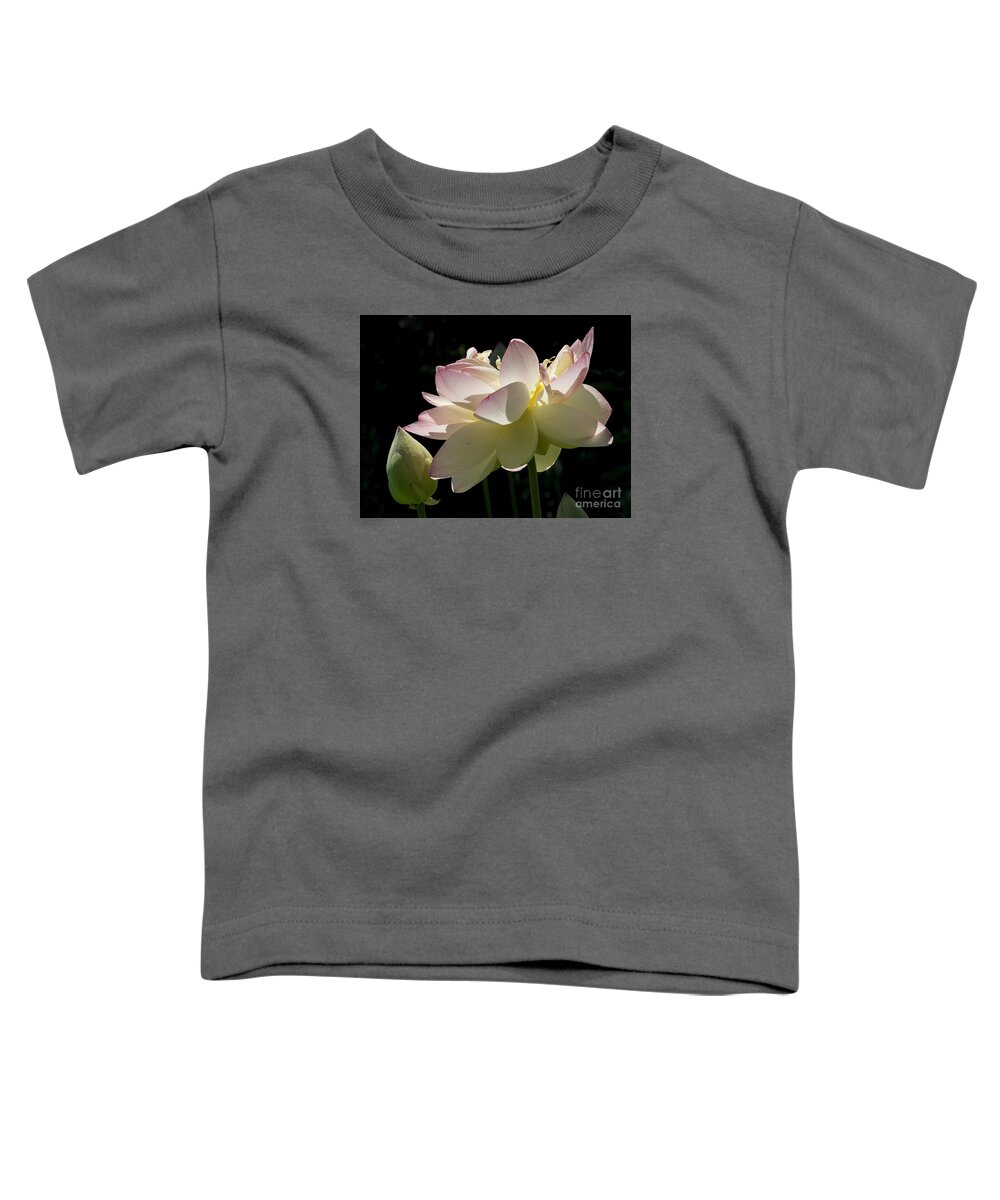 Flowers Toddler T-Shirt featuring the photograph Backlit Lotus Blossom by Lili Feinstein