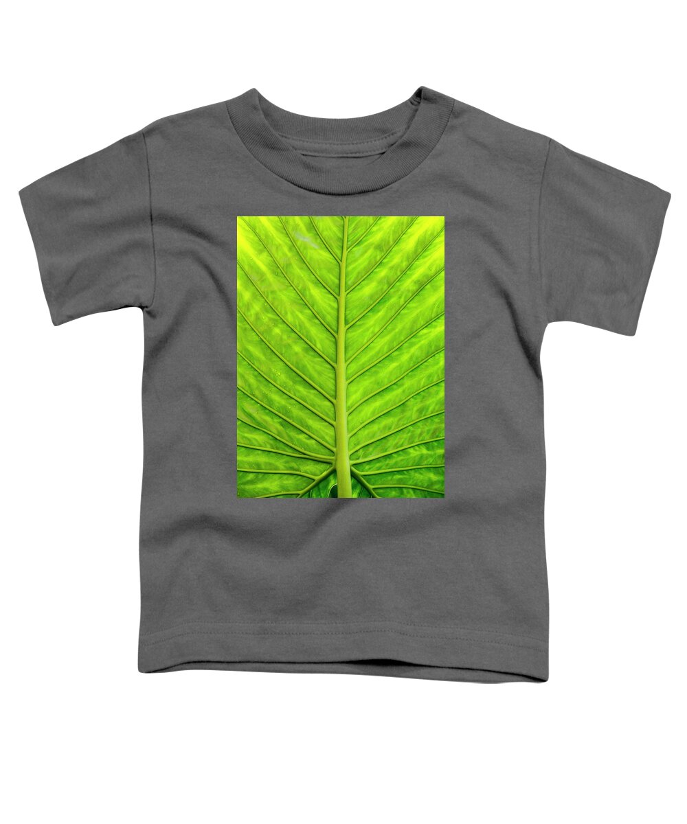 Colocasia Esculenta Toddler T-Shirt featuring the photograph Backlit Taro Leaf by Todd Bannor