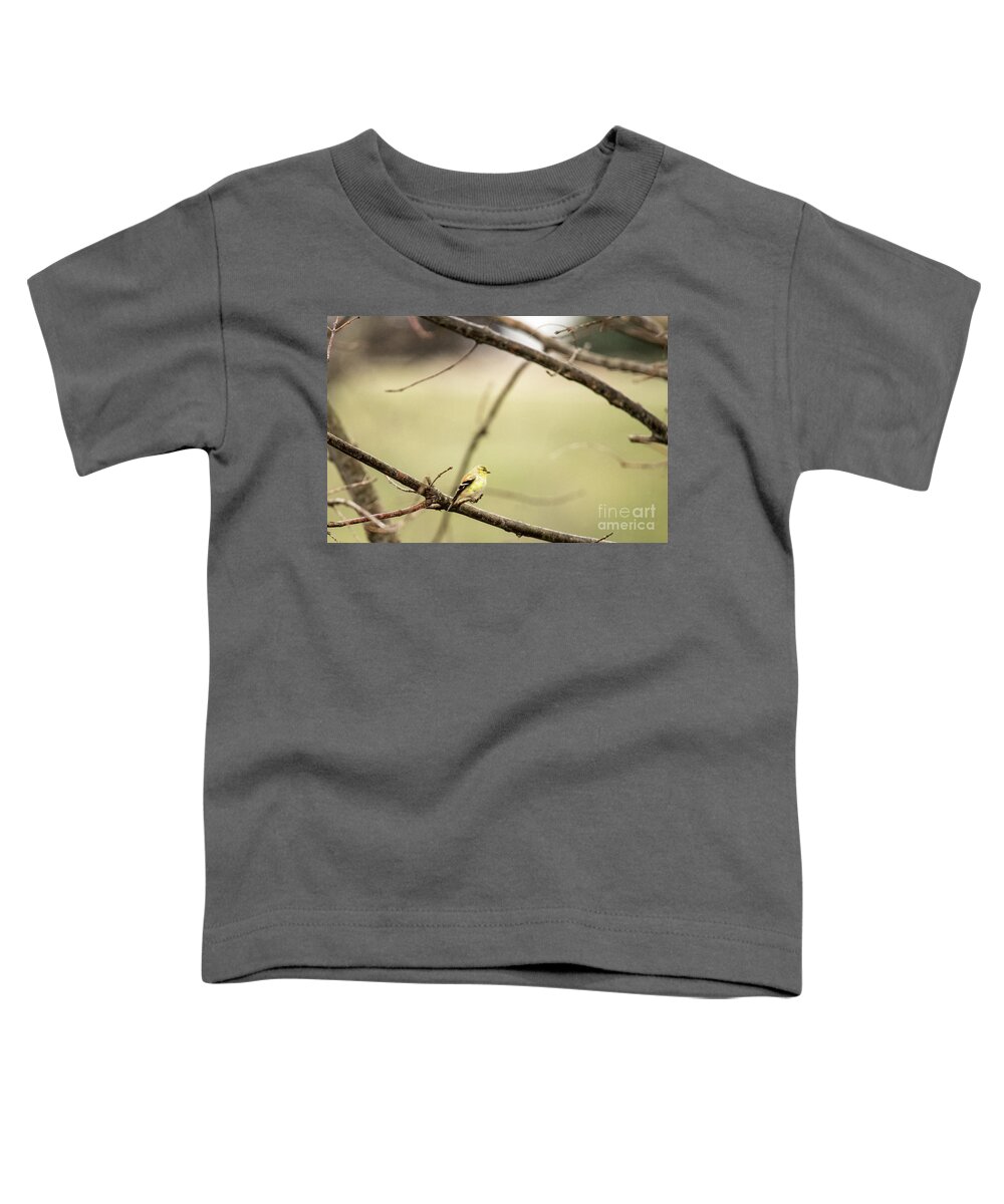 White-eyed Vireo Toddler T-Shirt featuring the photograph Backyard Yellow by Ed Taylor