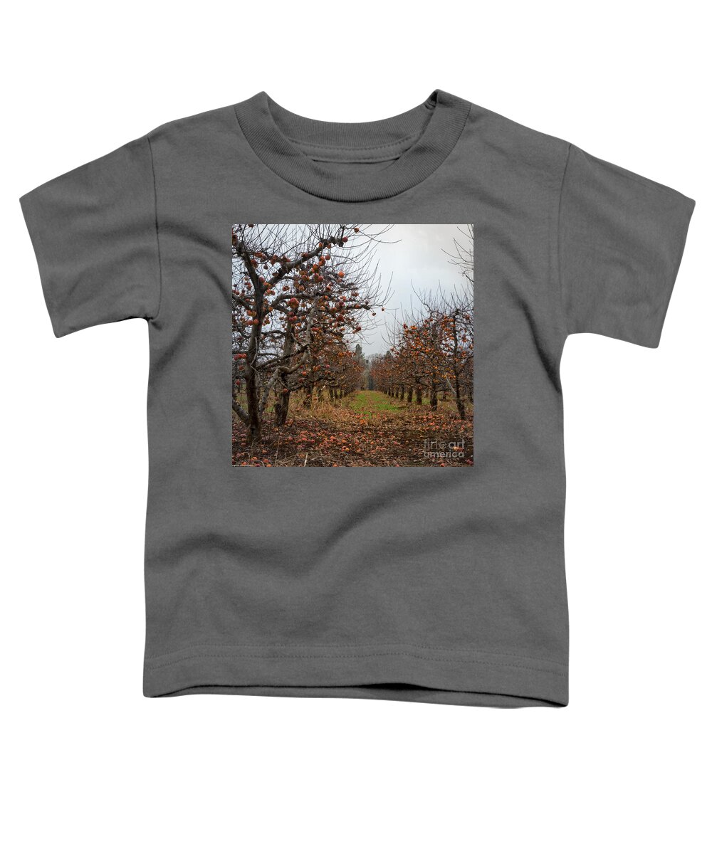 Bad Apples Toddler T-Shirt featuring the photograph Bad Apples by Mitch Shindelbower